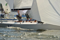 2014 Charleston Race Week D 1305