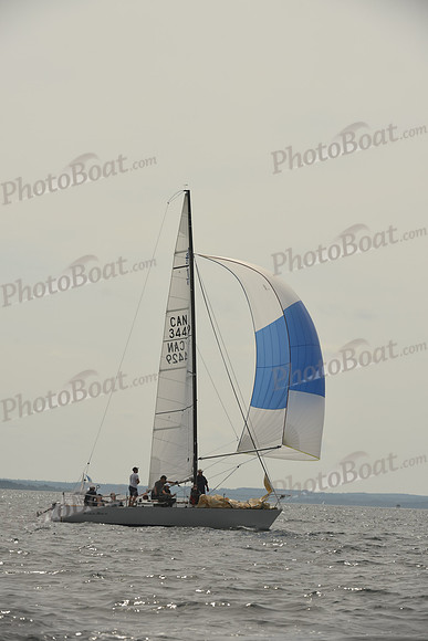 2016 Chester Race Week C_1738
