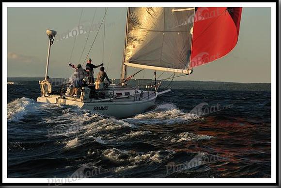 proof_2010_Vineyard_Race_2158
