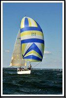 proof_2010_Vineyard_Race_0444