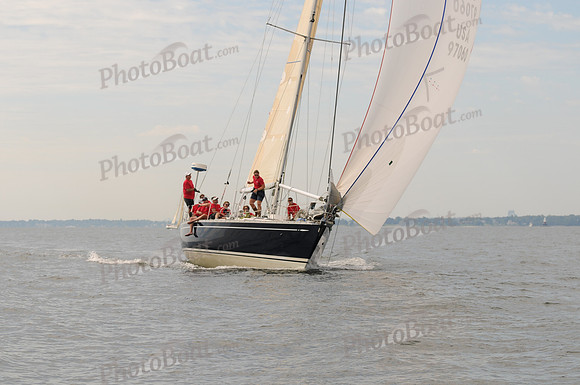 2009 Vineyard Race 485