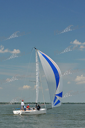 2013 Southern Bay Race Week A 419