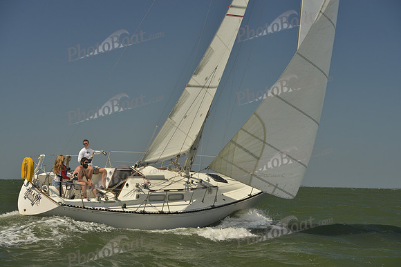 2017 Charleston Race Week A_0499