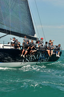 2011_KeyWestRaceWeek_C 1751