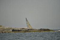 2018 NYYC Annual Regatta A_0606
