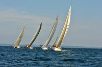 2010_AYC_Fall_1354