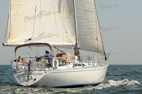 2012 Vineyard Race A 413