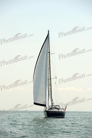 2014 Cape Charles Cup A 454