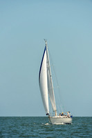 2015 Southern Bay Race Week C 1594