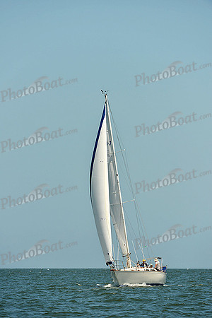 2015 Southern Bay Race Week C 1594