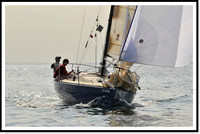 proof_2010 Block Island Race 460