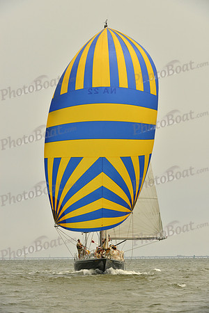 2016 Southern Bay Race Week A_0895