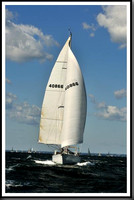 proof_2010_Vineyard_Race_0212