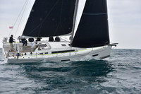 Albatross