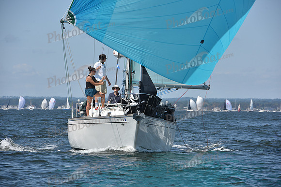 2020 Vineyard Race A_0327