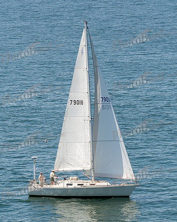 DBP_1642