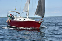 2019 Around Marthas Vineyard A_0634