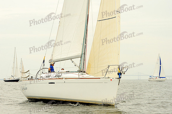 2014 Gov Cup A 265
