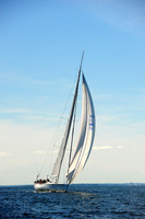 2014 Vineyard Race A 1970