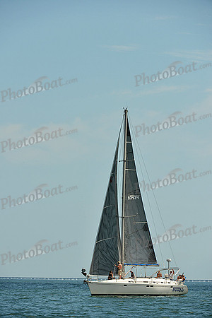 2015 Southern Bay Race Week F 667