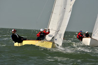 2012 Thistle Midwinters B 559