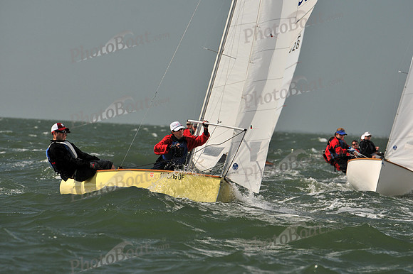 2012 Thistle Midwinters B 559
