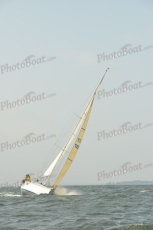 2015 Vineyard Race A 338