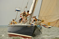 2016 Southern Bay Race Week A_0611