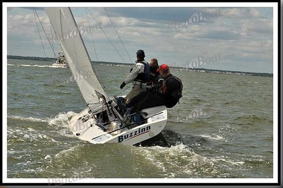 proof_2010_EScows_B 212