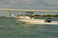 2019 Feb 10 Tampa Bay B_0787