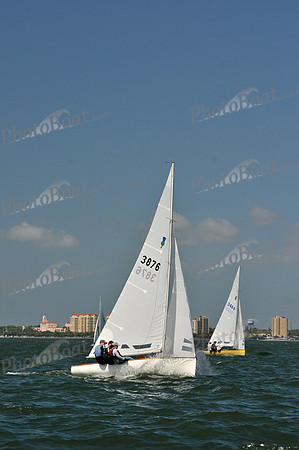 2012 Thistle Midwinters C 463