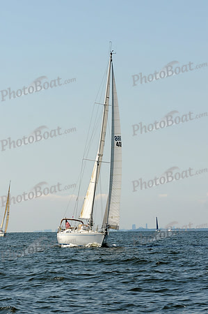 2011 Vineyard Race A 311