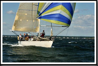 proof_2010_Vineyard_Race_0447