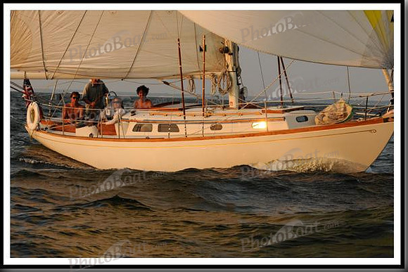proof_2010 Gov Cup B 701