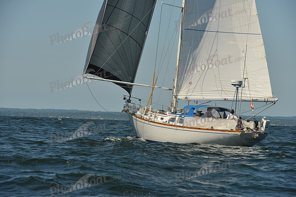 2015 Vineyard Race C 351