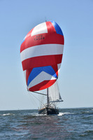 2019 Vineyard Race A_1888