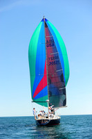2014 Newport Bermuda A 216