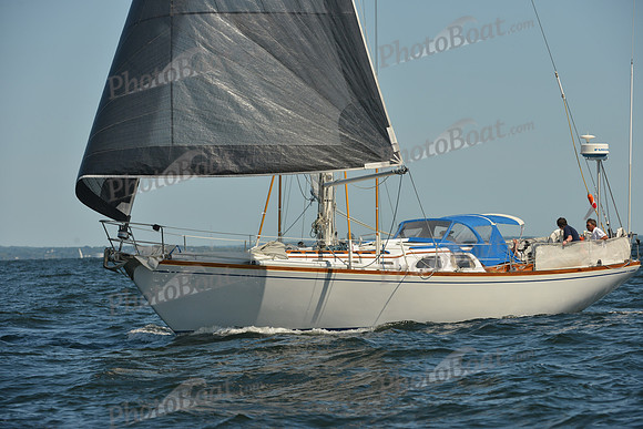 2015 Vineyard Race C 346