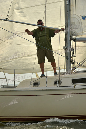 2016 Southern Bay Race Week F_0387