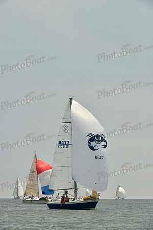 2016 Southern Bay Race Week E_0514