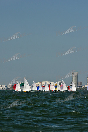 2012 Thistle Midwinters B 677