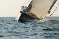 2010_NptBmda_2264