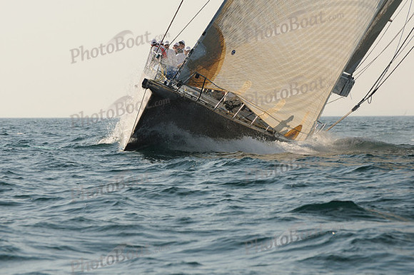 2010_NptBmda_2264