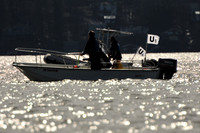2011_Prosser_C 489