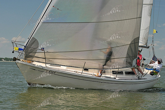 2013 Southern Bay Race Week A 519