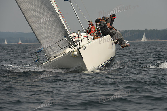 2016 Chester Race Week C_0142