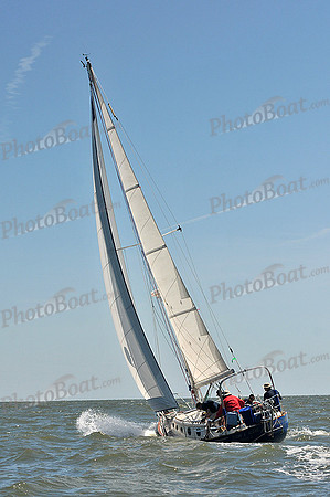 2014 Southern Bay Race Week D 436