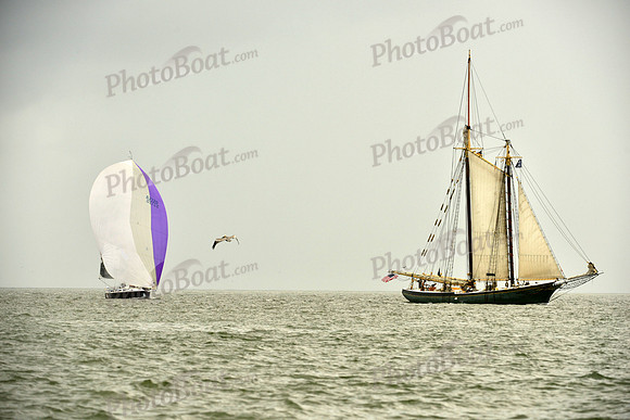 2019 Charleston Race Week C_1212