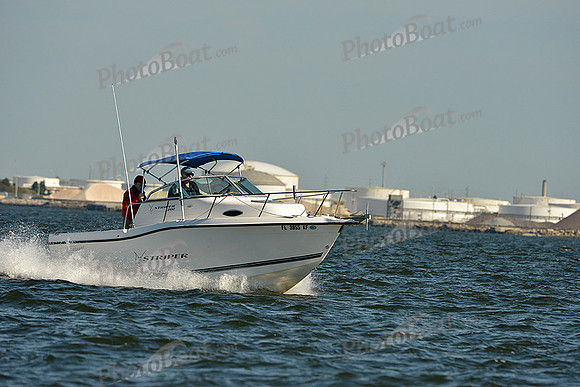 2015 J70 Winter Series E 208