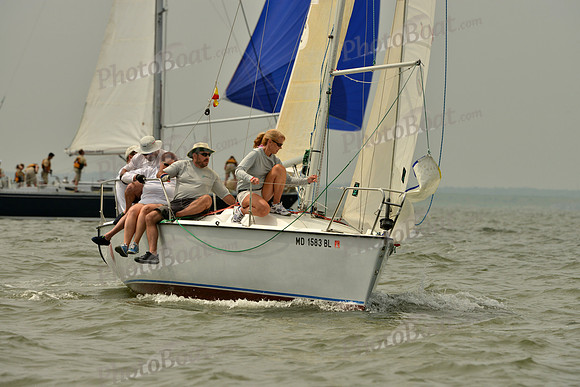 2016 Southern Bay Race Week A_0345